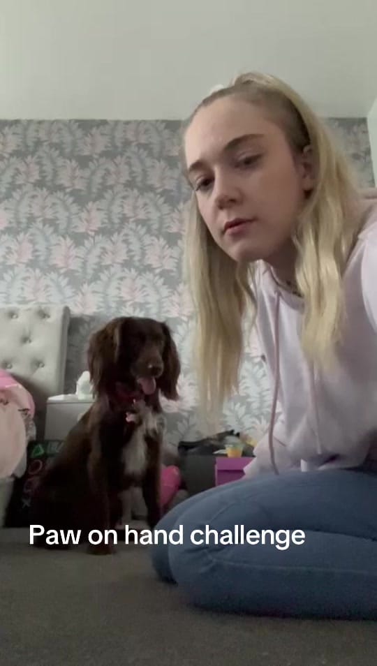 Post 10 by Chloe & Sydney Adventures on TikTok (video)