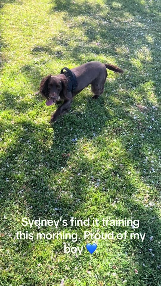Post 4 by Chloe & Sydney Adventures on TikTok (video)
