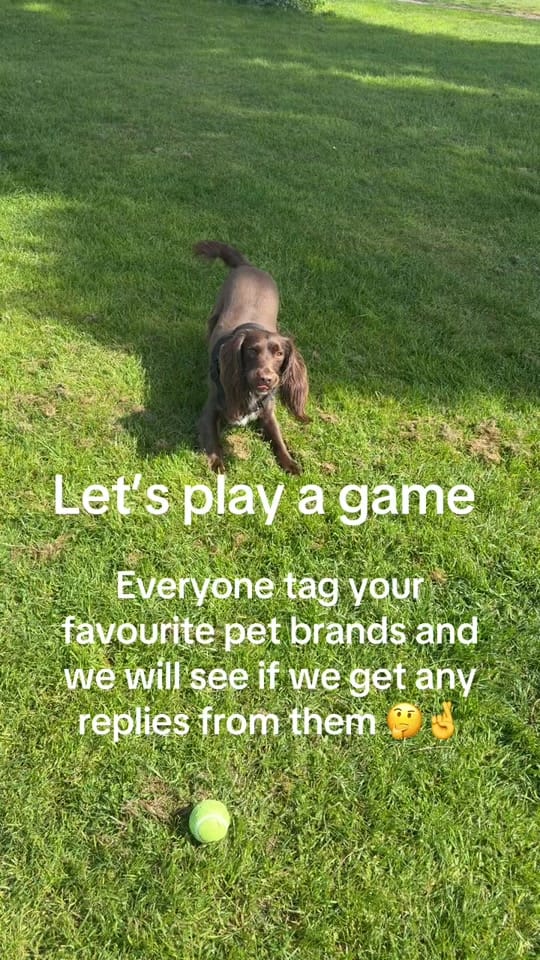 Post 1 by Chloe & Sydney Adventures on TikTok (video)