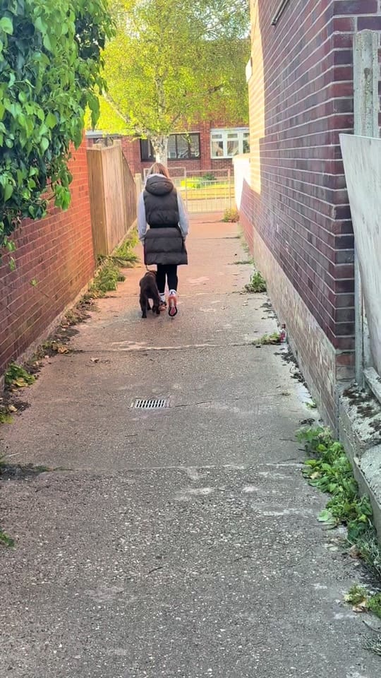 Post 2 by Chloe & Sydney Adventures on TikTok (video)