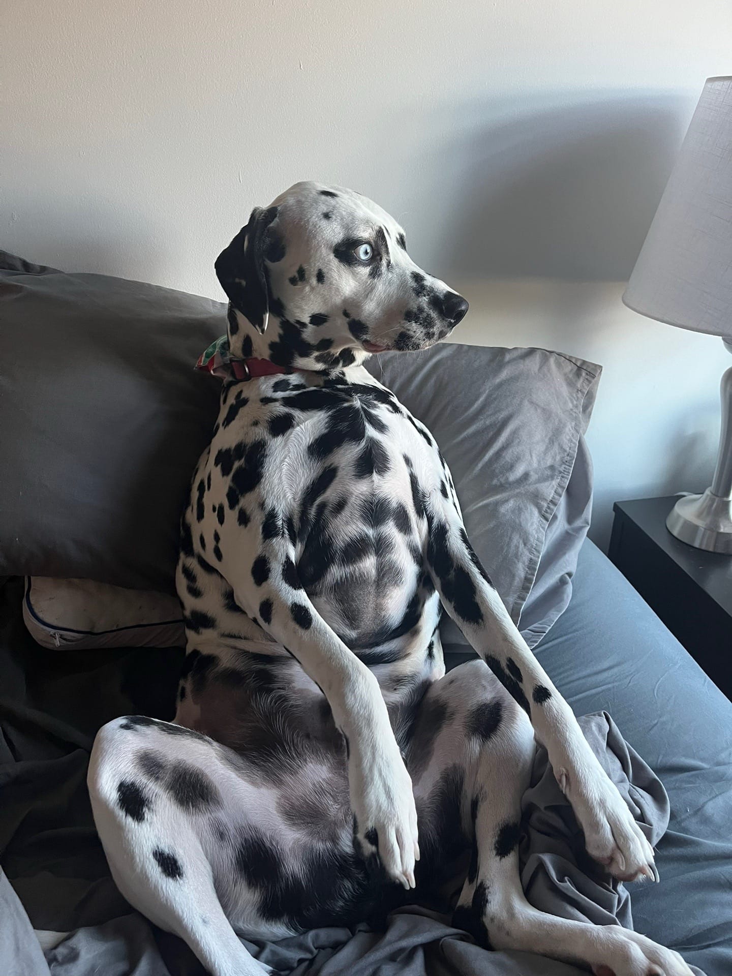 Post 10 by Sydney Mae Champion Wells on TikTok (video)