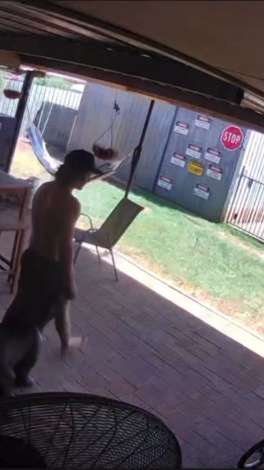 Post 9 by Stuart McKenzie on TikTok (video)