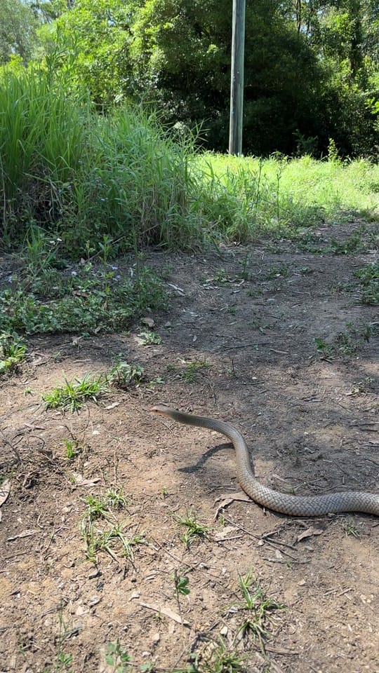 Post 10 by Stuart McKenzie on TikTok (video)