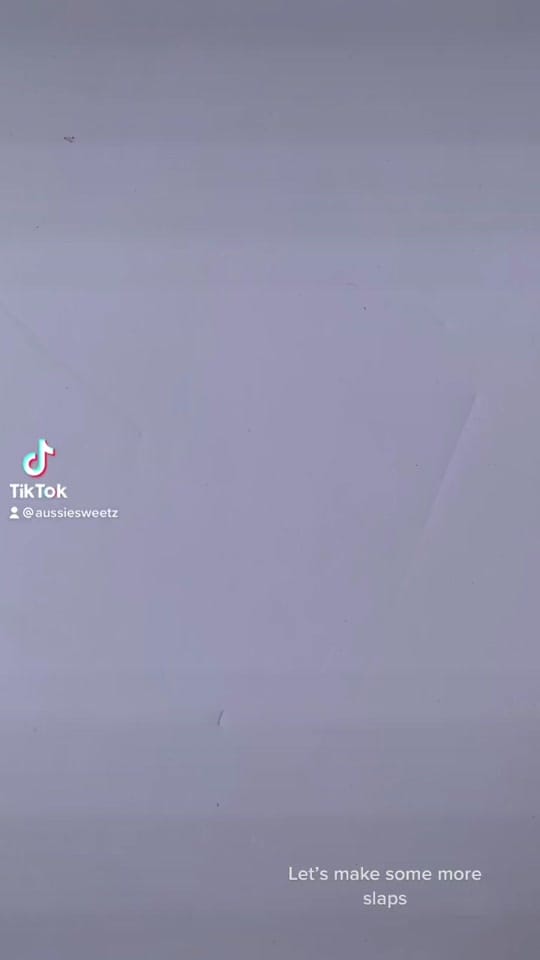 Post 2 by aussiesweetz on TikTok (video)