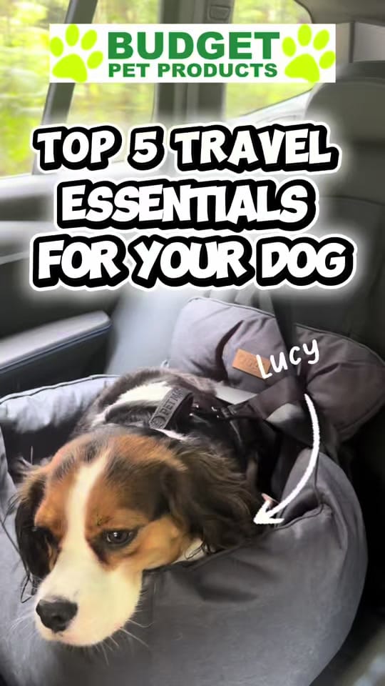 Post 7 by Budget Pet Products on TikTok (video)