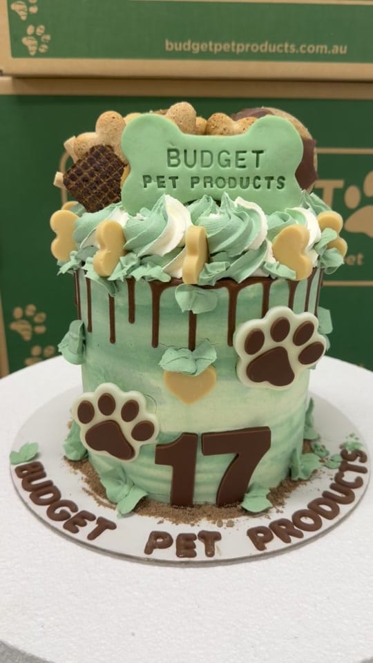 Post 6 by Budget Pet Products on TikTok (video)