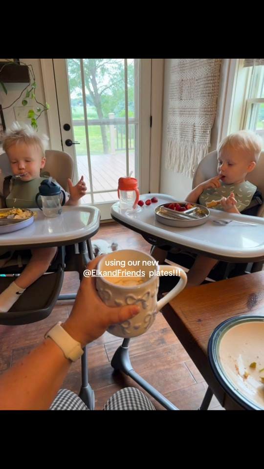 Post 8 by Sydney Mounce / Twin mama on TikTok (video)