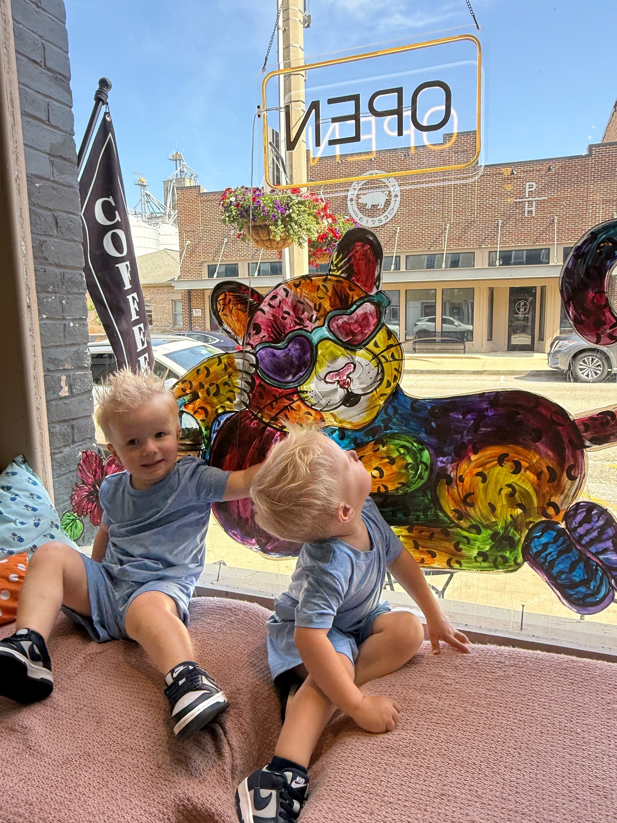 Post 2 by Sydney Mounce / Twin mama on TikTok (video)