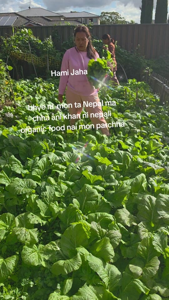 Post 3 by Dilu kc on TikTok (video)