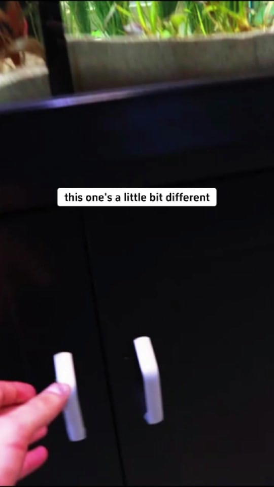 Post 4 by KeepingFishSimple on TikTok (video)
