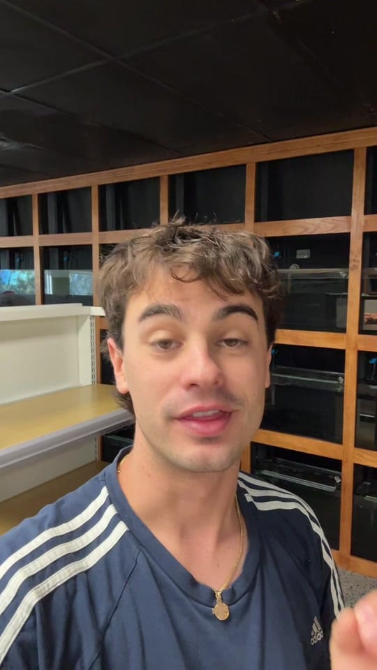 Post 8 by KeepingFishSimple on TikTok (video)
