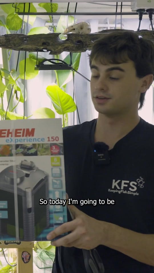 Post 1 by KeepingFishSimple on TikTok (video)