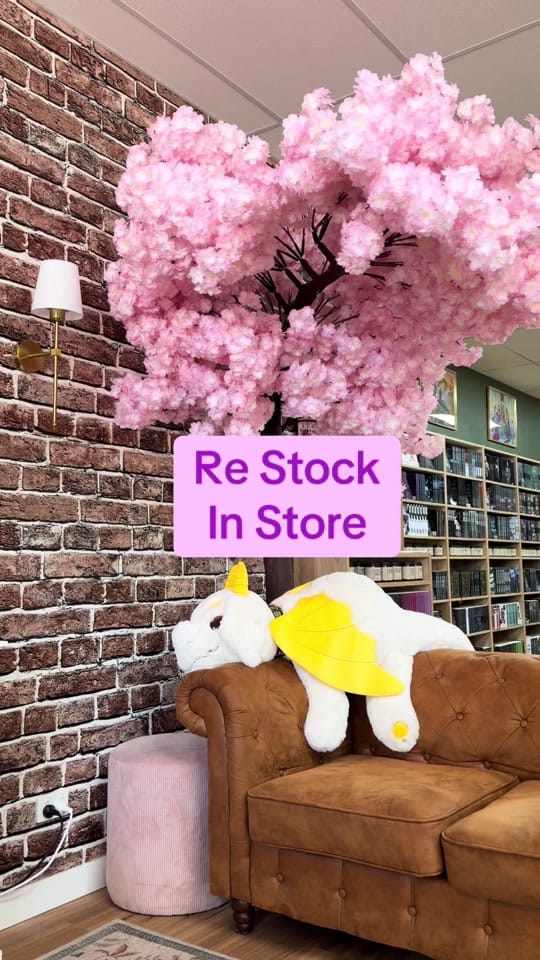 Post 3 by ToBeReadBookshop on TikTok (video)