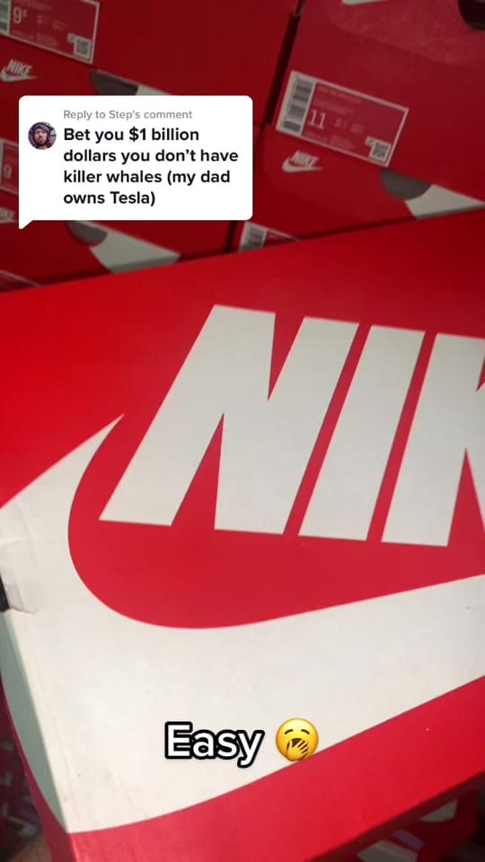 Post 2 by ESHGEAR™ on TikTok (video)