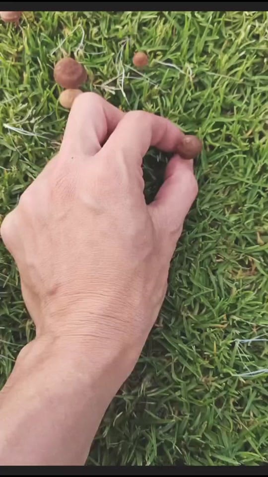 Post 9 by Carnaby Creations on TikTok (video)