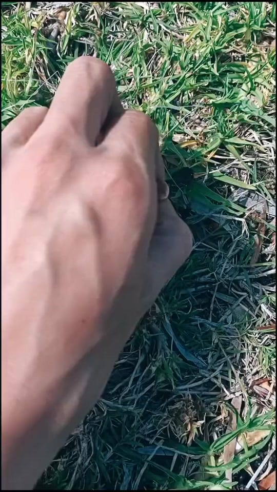 Post 10 by Carnaby Creations on TikTok (video)