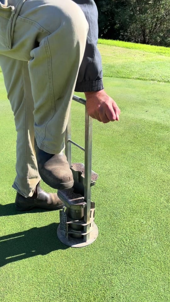 Post 5 by Dint Golf on TikTok (video)