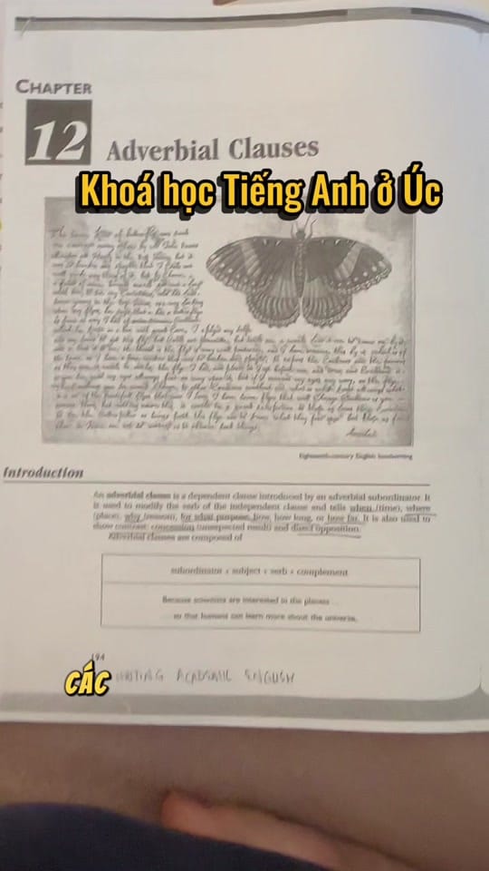 Post 3 by Jackie Nguyen 🇻🇳🇦🇺 on TikTok (video)