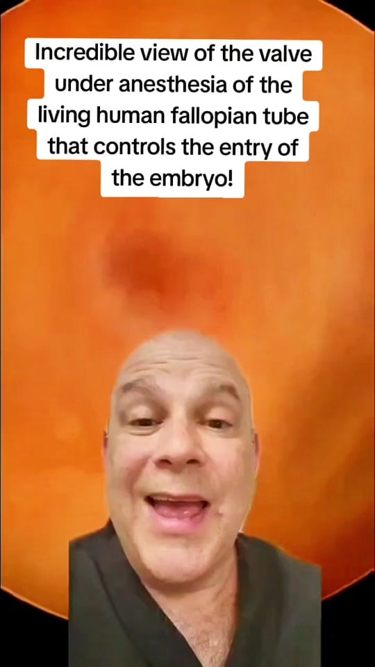 Post 5 by Steven Palter, MD on TikTok (video)