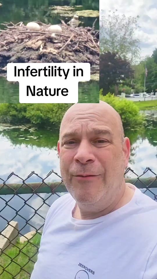 Post 4 by Steven Palter, MD on TikTok (video)