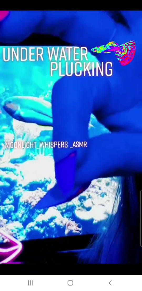 Post 2 by MoonlighT WhisperS ASMR on TikTok (video)