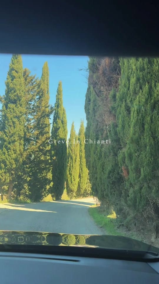 Post 7 by TEGANMAC.SKIN on TikTok (video)