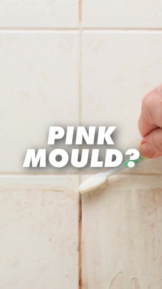 Post 10 by Australia’s #1 Mould Expert on TikTok (video)