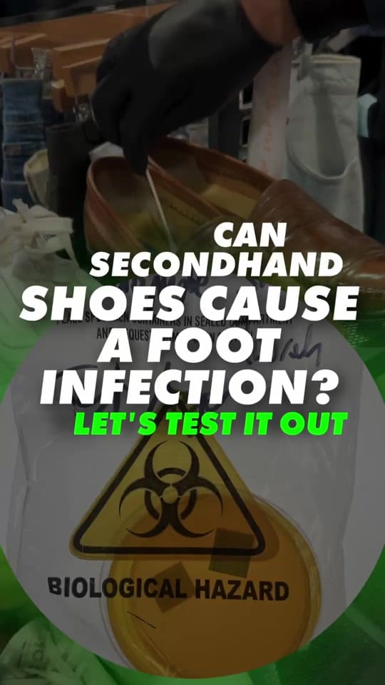 Post 5 by Australia’s #1 Mould Expert on TikTok (video)