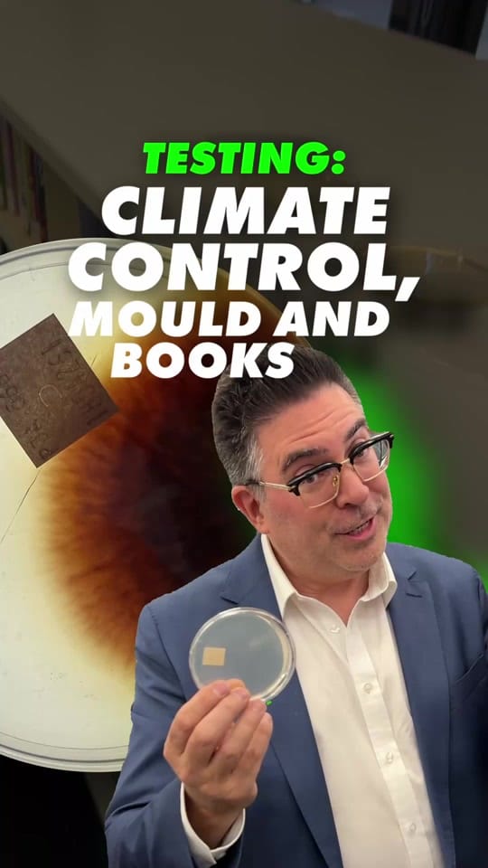 Post 2 by Australia’s #1 Mould Expert on TikTok (video)