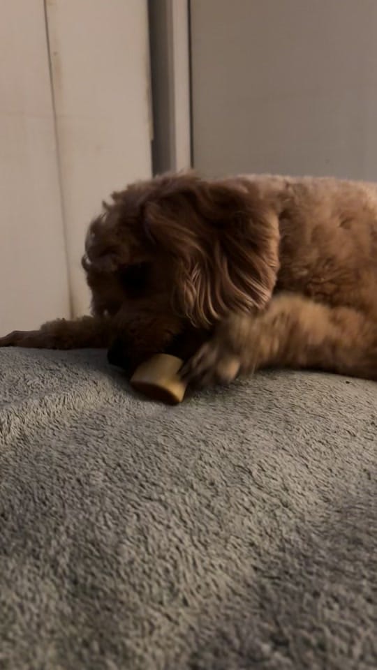 Post 7 by Chris on TikTok (video)