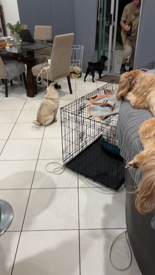 Post 9 by Chris on TikTok (video)