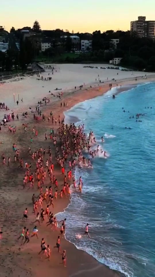 Post 8 by Lost and found in Sydney on TikTok (video)
