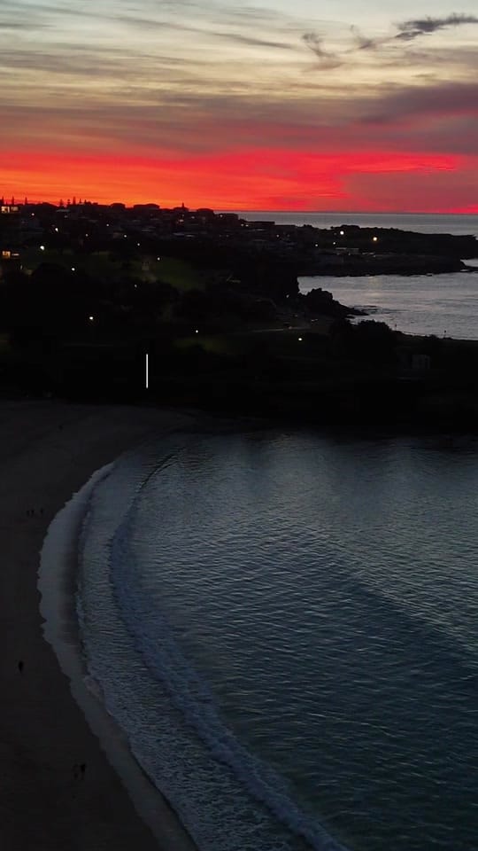 Post 1 by Lost and found in Sydney on TikTok (video)