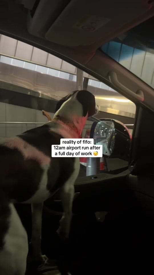 Post 8 by Larissa 👩🏽‍💻💸 on TikTok (video)
