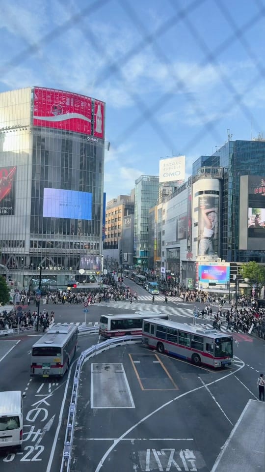 Post 7 by Indira Magar on TikTok (video)