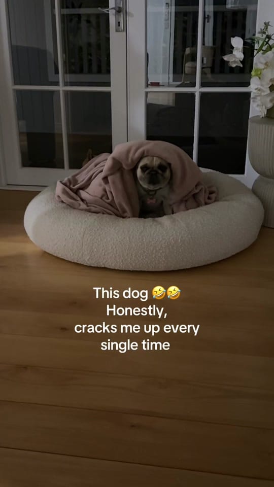 Post 9 by Taylor Ryan on TikTok (video)