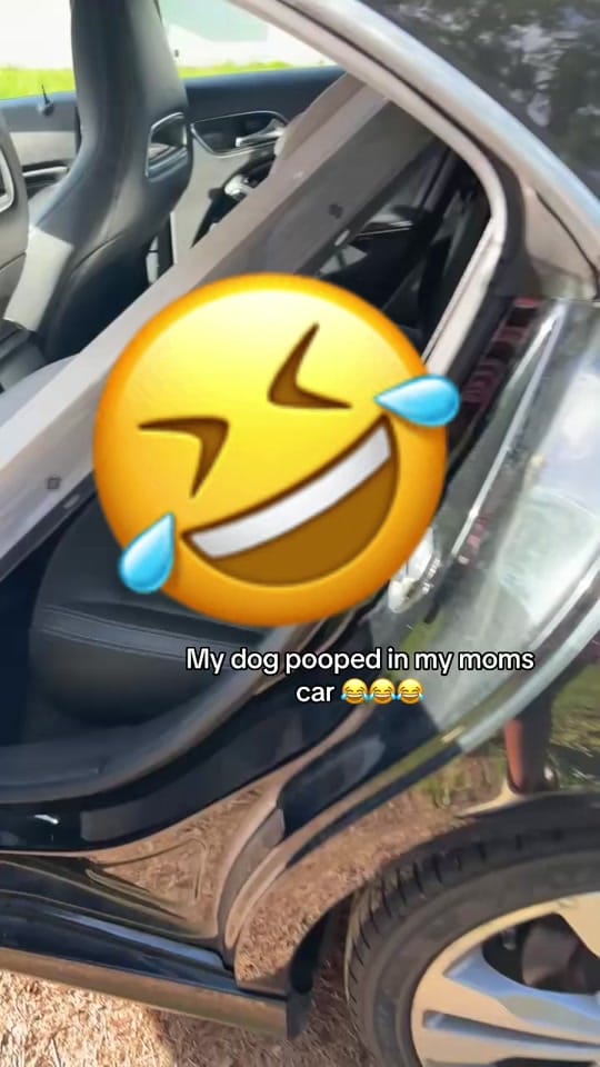 Post 1 by Kpetuniaa on TikTok (video)