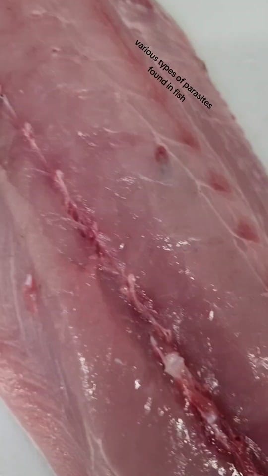 Post 10 by 🅺🅴🅴🅵🅸🆂🅷 on TikTok (video)