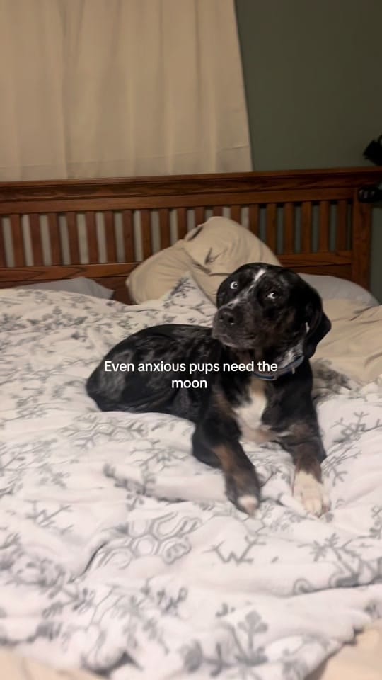 Post 2 by Sydney on TikTok (video)