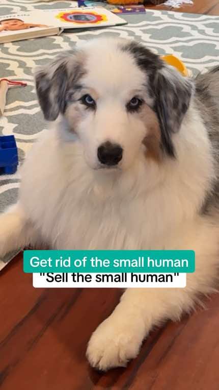 Post 7 by Rhoan Wiggle Butt on TikTok (video)