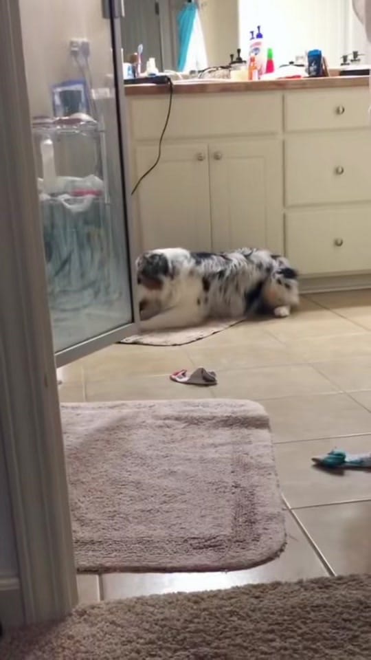 Post 3 by Rhoan Wiggle Butt on TikTok (video)
