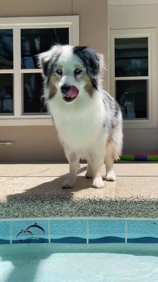 Post 5 by Rhoan Wiggle Butt on TikTok (video)