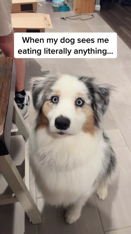 Post 10 by Rhoan Wiggle Butt on TikTok (video)