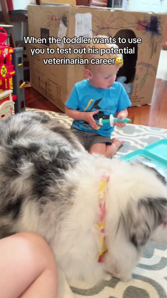 Post 4 by Rhoan Wiggle Butt on TikTok (video)