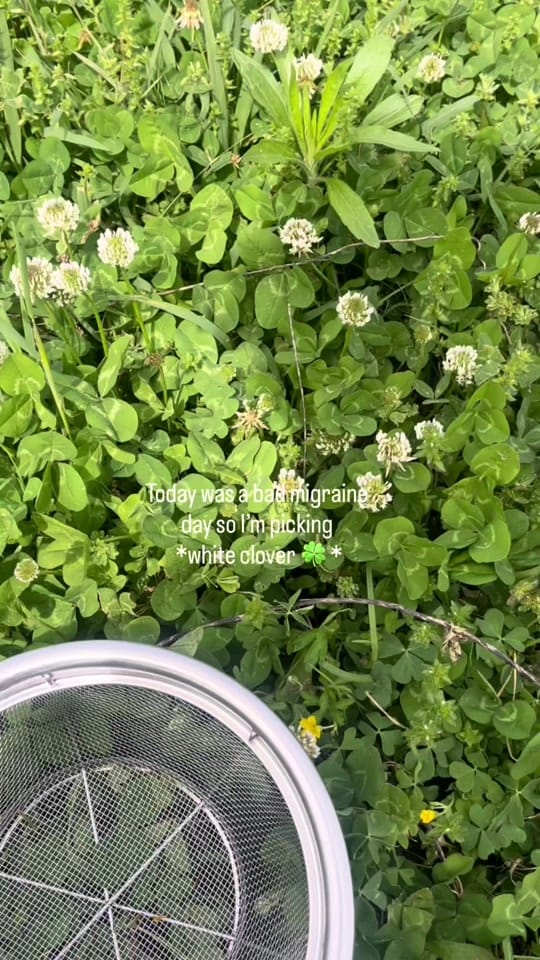Post 10 by MornPen Mum on TikTok (video)