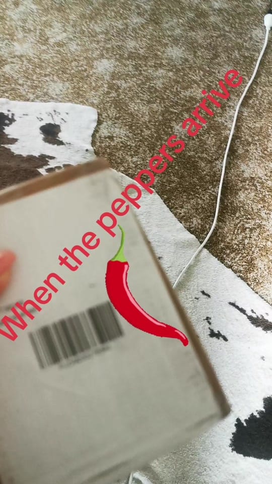 Post 2 by MornPen Mum on TikTok (video)