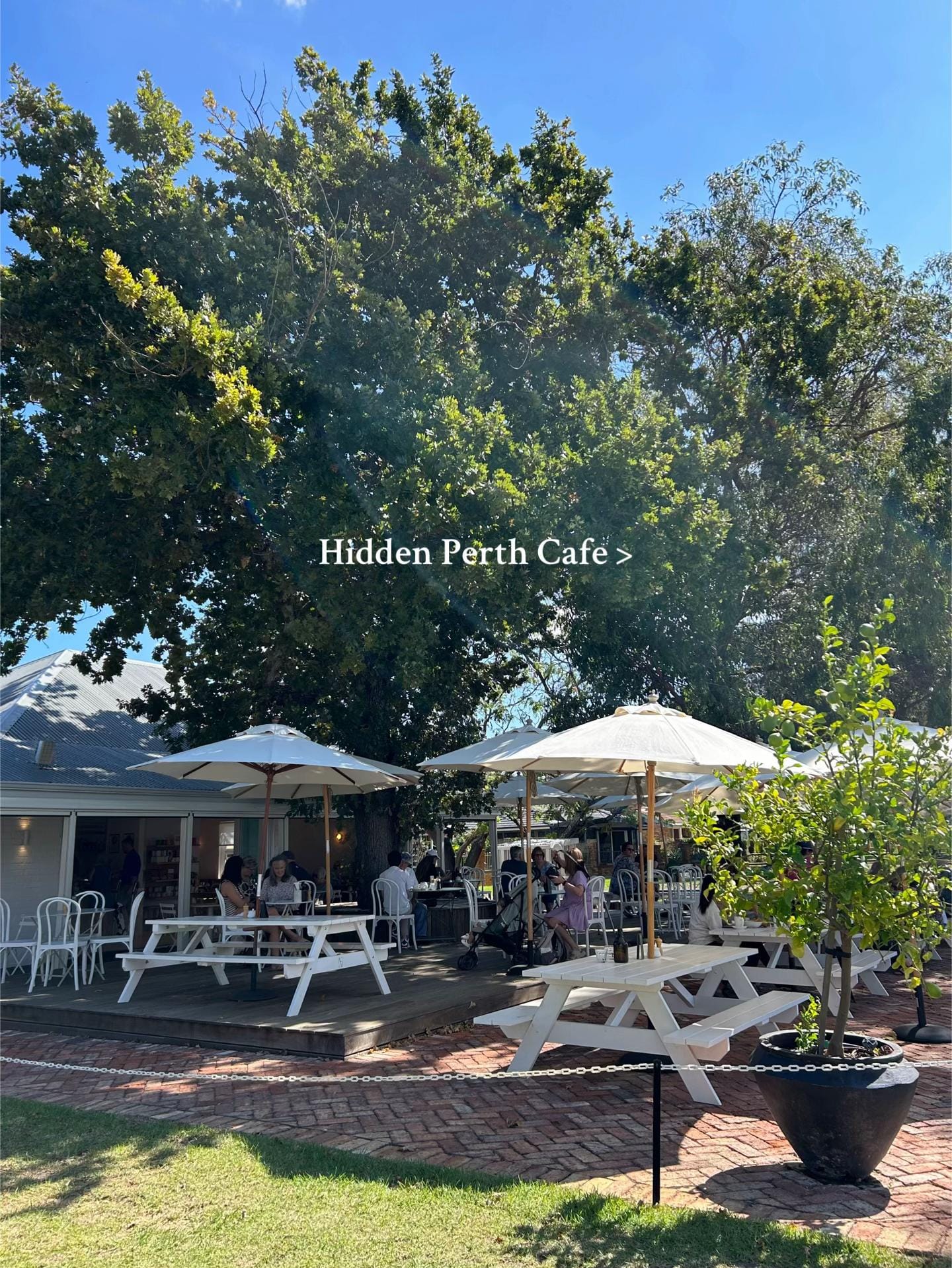 Post 9 by robyn.aitkenhead on TikTok (video)