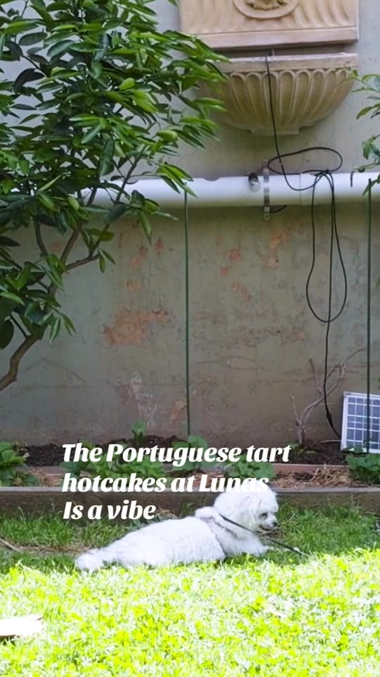 Post 5 by The Jugernauts on TikTok (video)