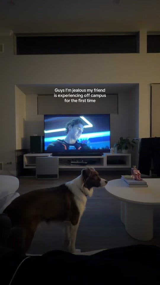 Post 2 by teiajennings_ on TikTok (video)