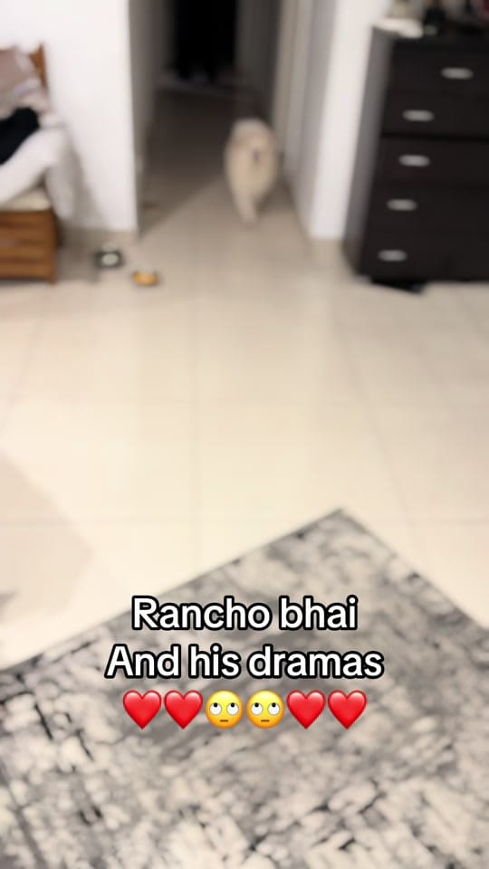 Post 4 by shuklasatyaa on TikTok (video)